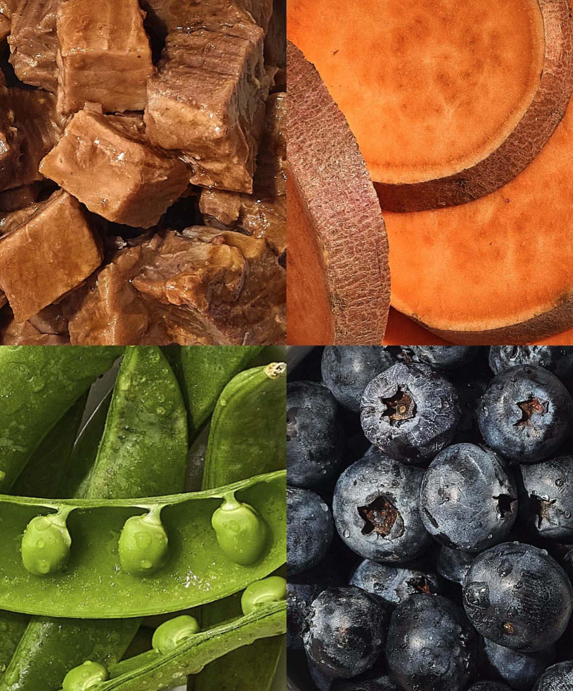 Beef, sweet potato, peas and blueberries