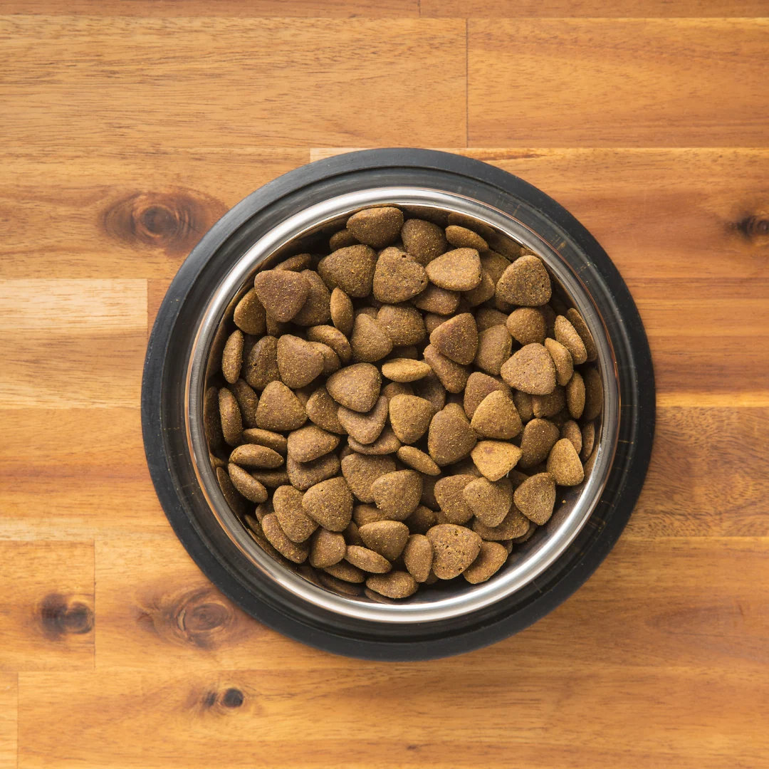 A bowl of dry kibble